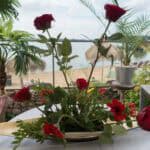 attachment-55ec9f9ce4b058cd816ba650